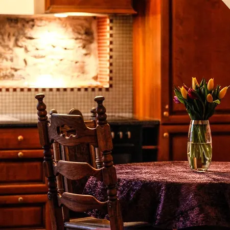 Dream - Luxury Old Town Penthouse With Steam Sauna Διαμέρισμα